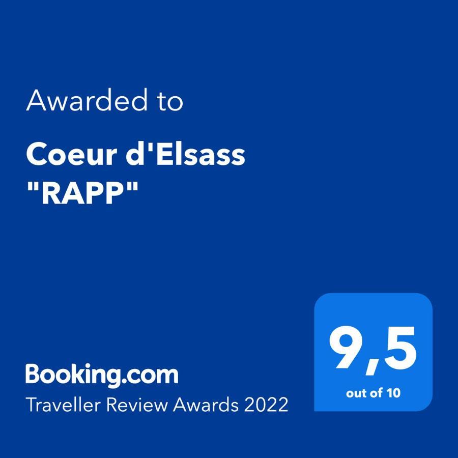 Coeur D'Elsass "Rapp"Appartement Avec Parking Кольмар Экстерьер фото